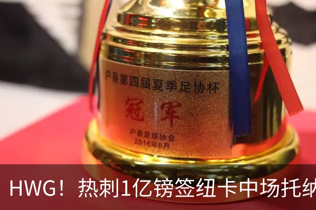 HWG！热刺1亿镑签纽卡中场托纳利 今夏1.85亿镑签2中场